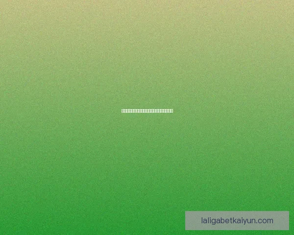 英超西汉姆转会窗动态分析及球队补强计划整理